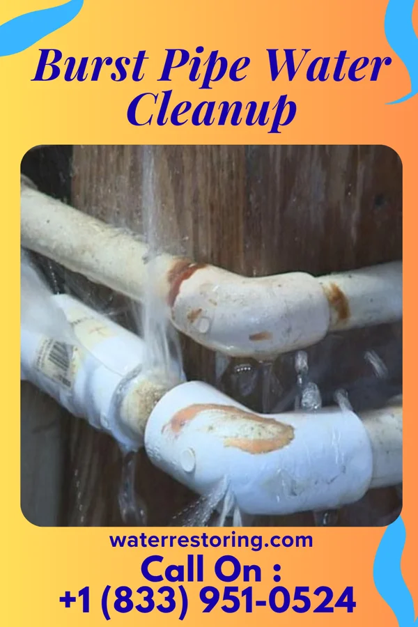 Burst Pipe Water Cleanup in Connersville, IN