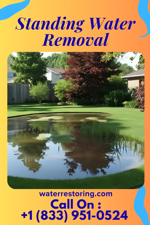 Standing Water Removal in Connersville, IN